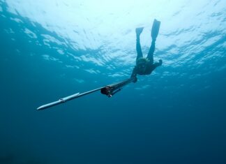 Writers Picks: Recreation