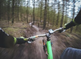 Best of the North Bay 2021: Recreation