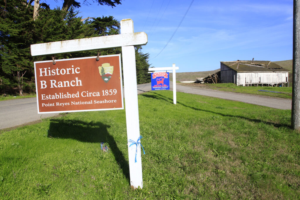 Jocelyn Knight - B Ranch sign