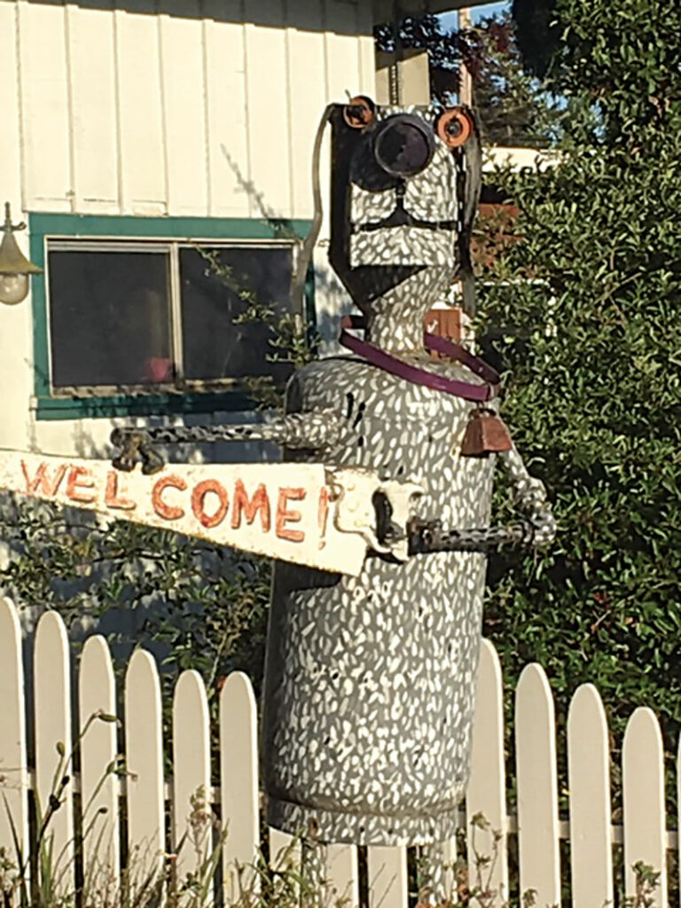 Animal Hospital Sebastopol Amiot