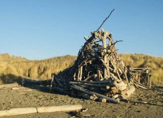 Best Place to Have a Semi-secret Orgy