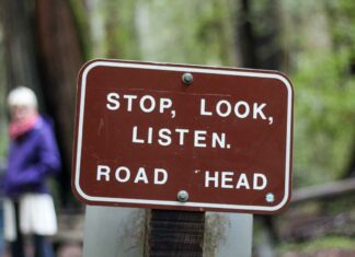 Best Spot for Arborial Romance