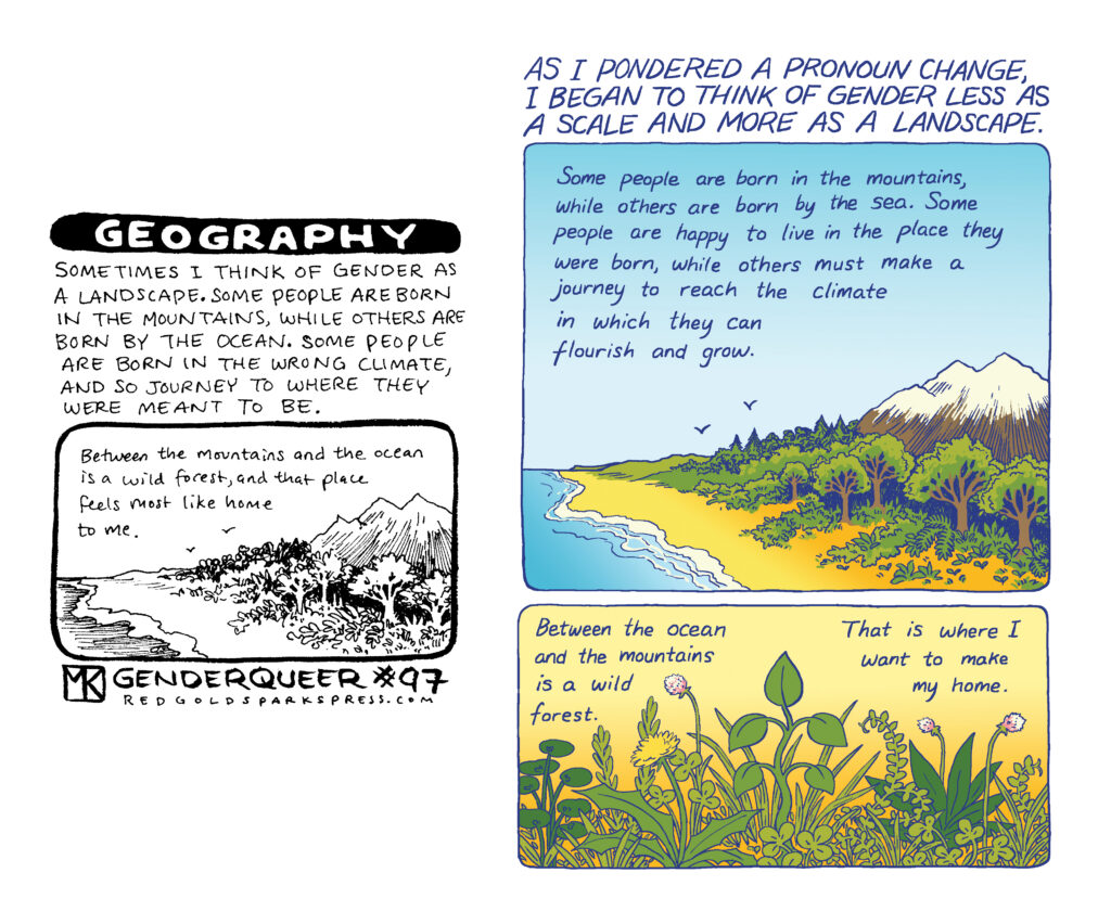 Gender Queer comic - Courtesy of Maia Kobabe