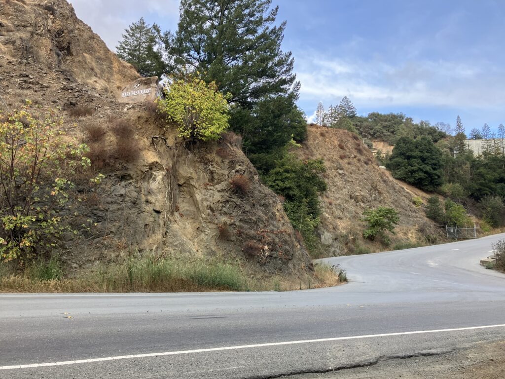 Photo by Will Carruthers