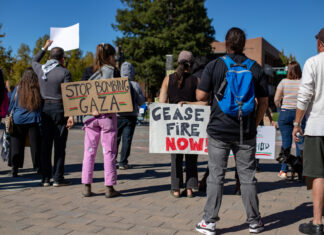 Santa Rosa Gaza ceasefire protest - Oct. 29, 2023