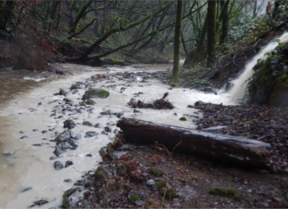 Photo by Paul Nelson/North Coast Regional Water Quality Control Board
