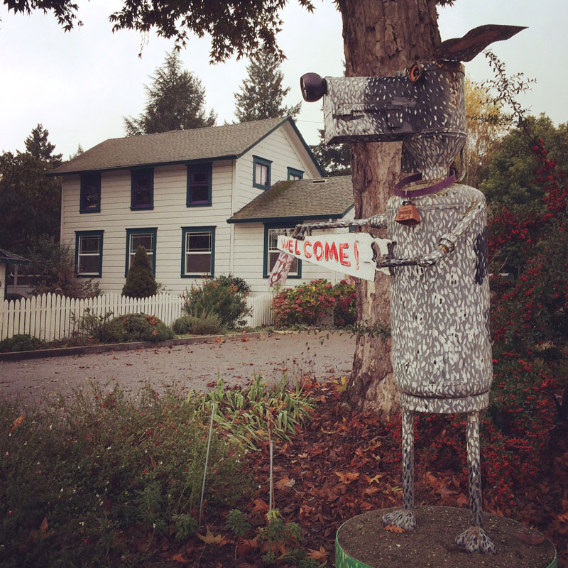 Animal Hospital of Sebastopol