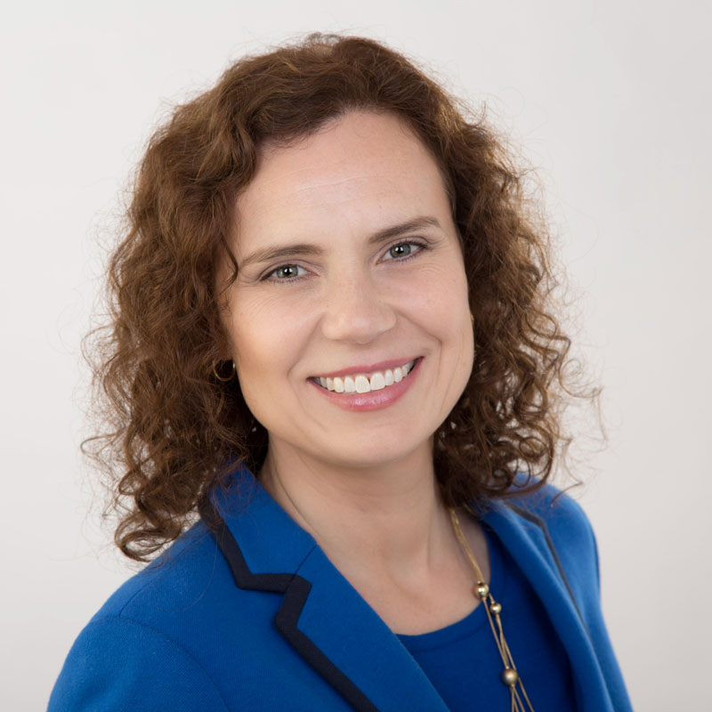 DeSantis Law Group, Inc.