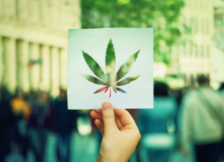 best of cannabis sonoma and napa counties