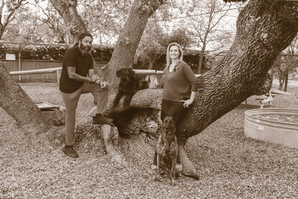 The Face of Dog Training