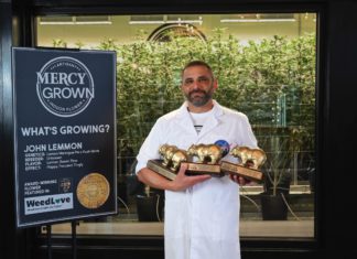 Brandon Levine, founder and owner pf Mercy Wellness, a cannabis company