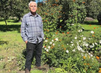 Donald Mahoney standing near flowers that attract butterflies to the garden.
