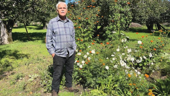 Donald Mahoney standing near flowers that attract butterflies to the garden.