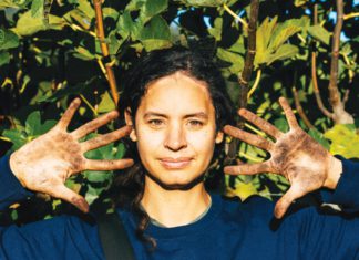 Common Ground Soil Services